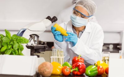 Consulenza Haccp per aziende alimentari e punti vendita